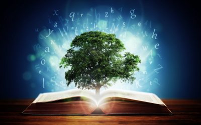 اقتصاد دانش بنیان یکی از مولفه‌های اقتدار ملی است