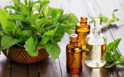 اعمال ممنوعیت واردات گیاهان دارویی به کشور