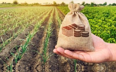 جزئیاتی از پرداخت تسهیلات اشتغال روستایی