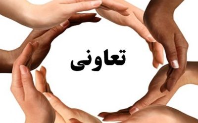 ضرورت توجه به تعاون در طرح مولد سازی دولت