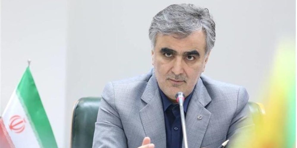 محمد رضا فرزین